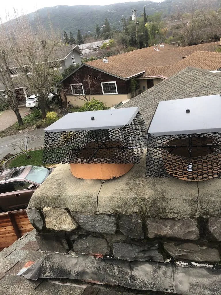 Two mesh chimney caps installed on a residential roof in the Sunnyvale service area